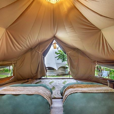 Alamu Eco Lodge 브두굴 외부 사진
