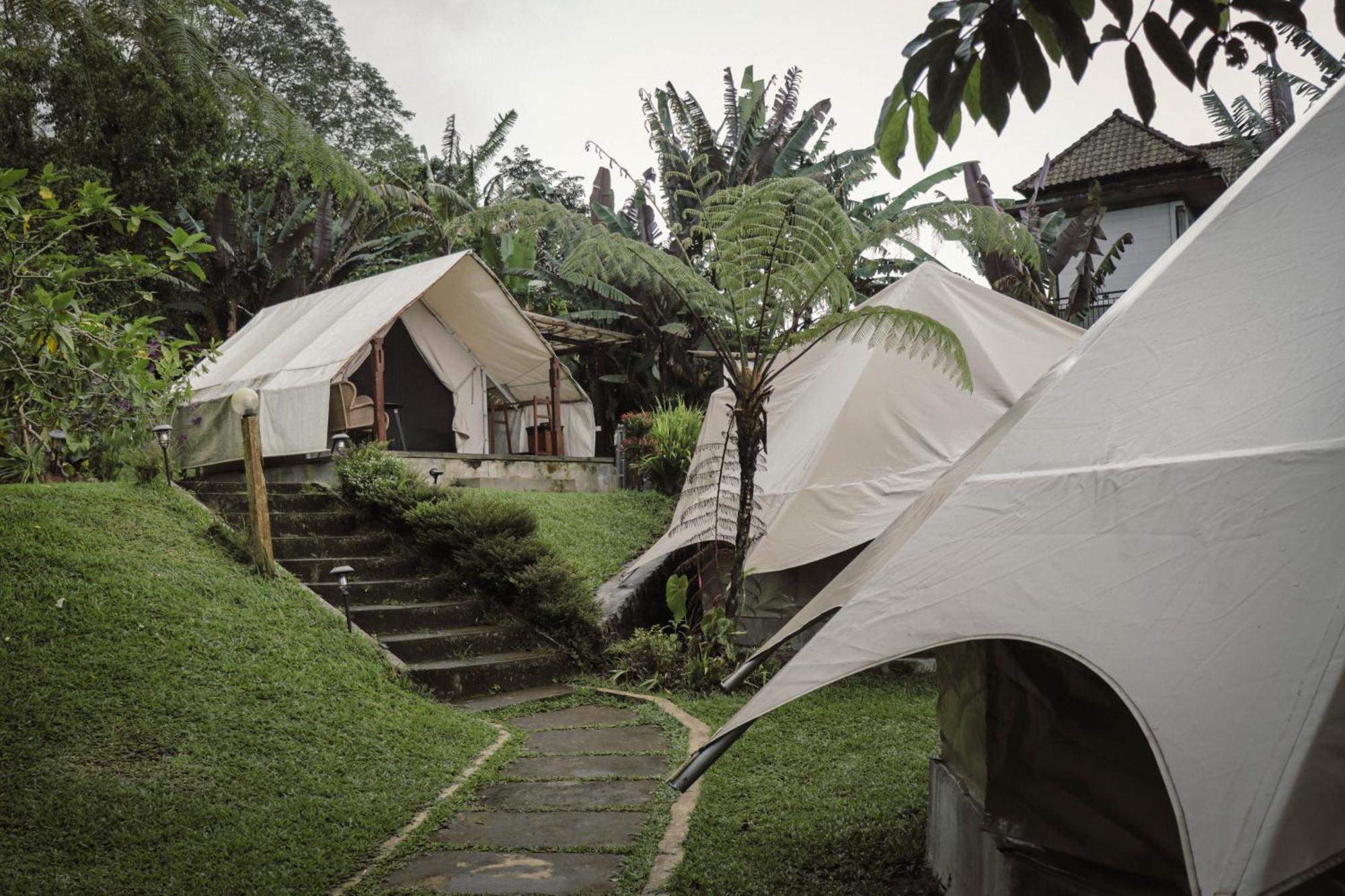 Alamu Eco Lodge 브두굴 외부 사진
