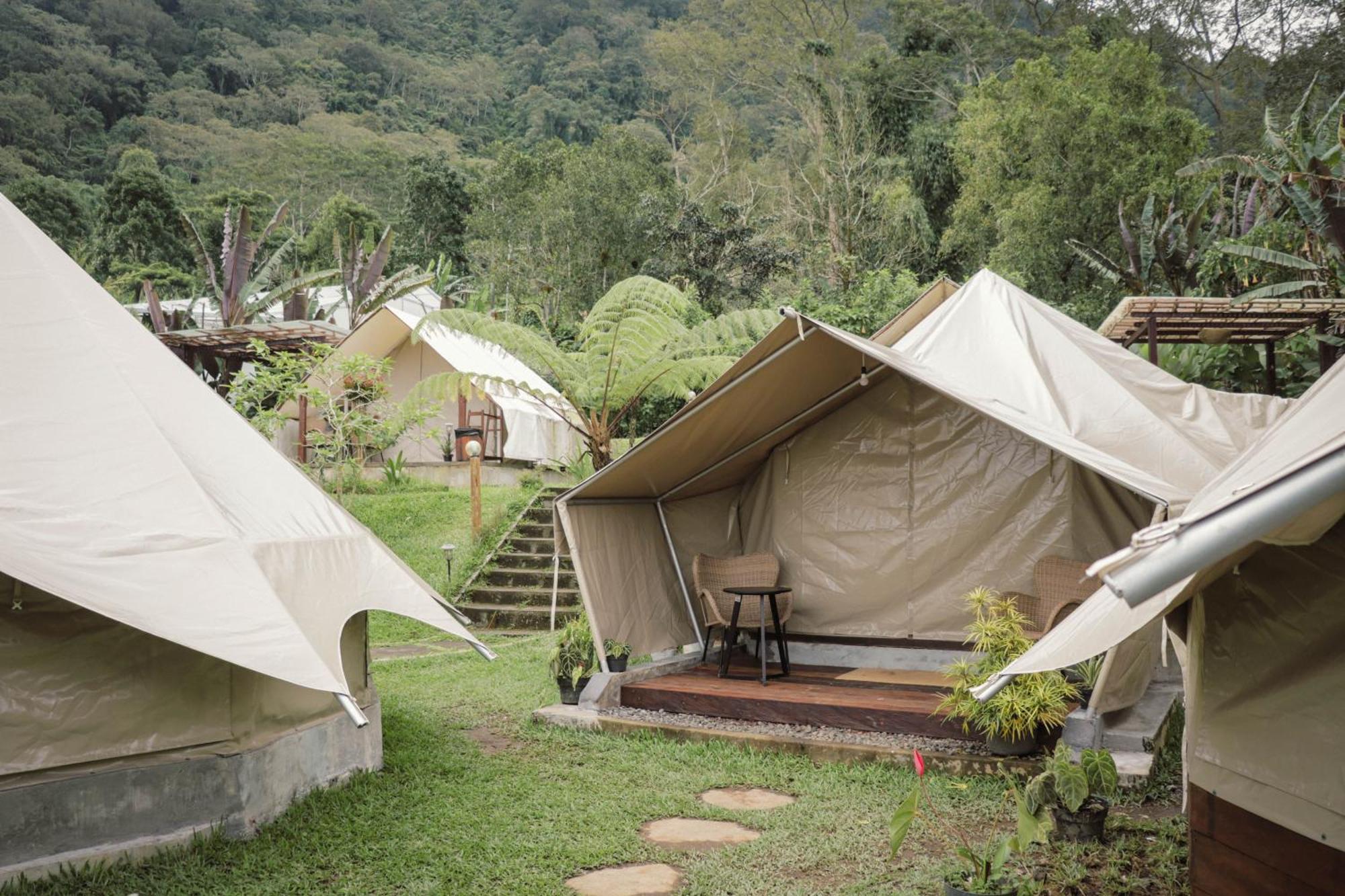 Alamu Eco Lodge 브두굴 외부 사진
