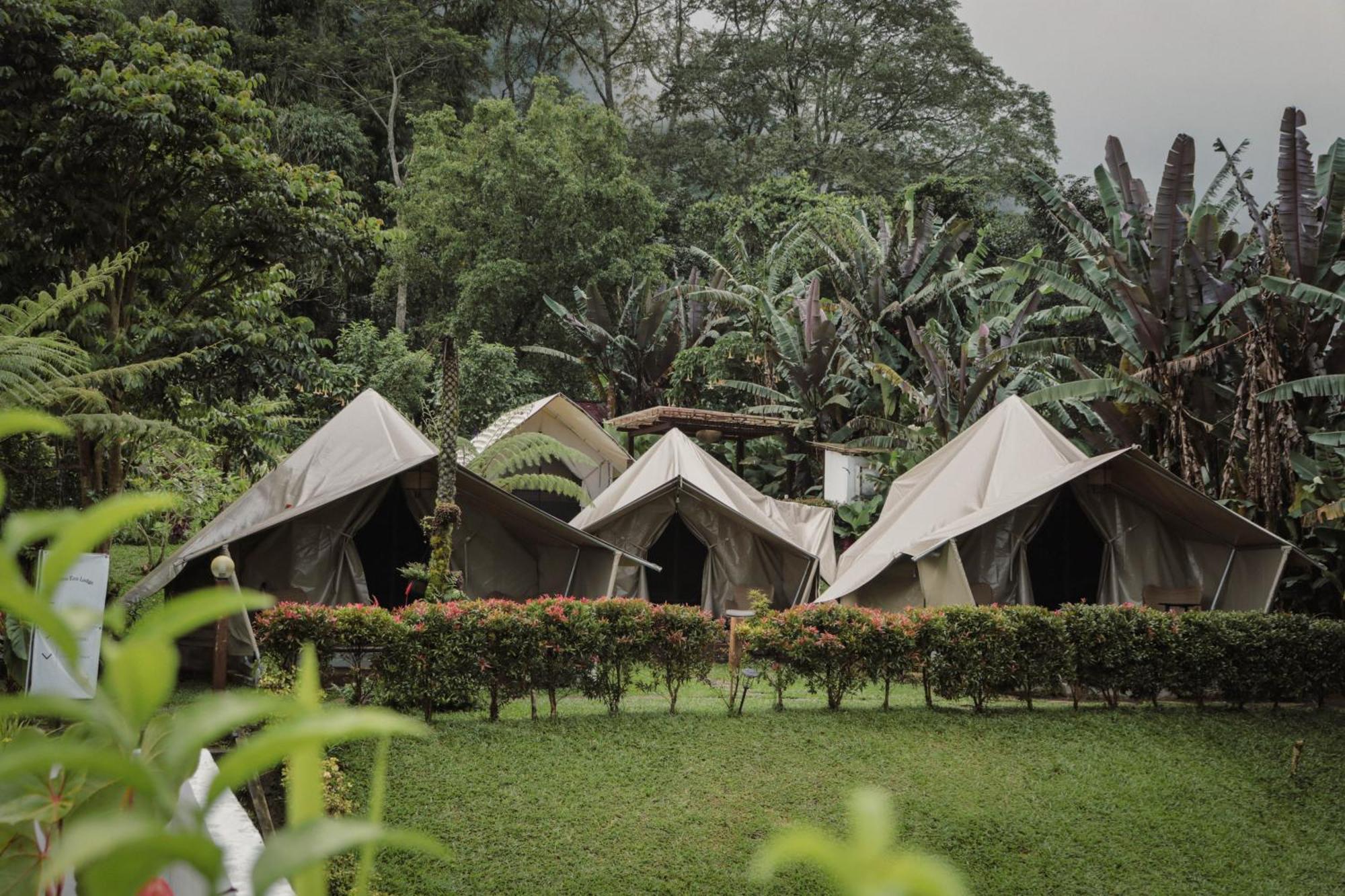 Alamu Eco Lodge 브두굴 외부 사진
