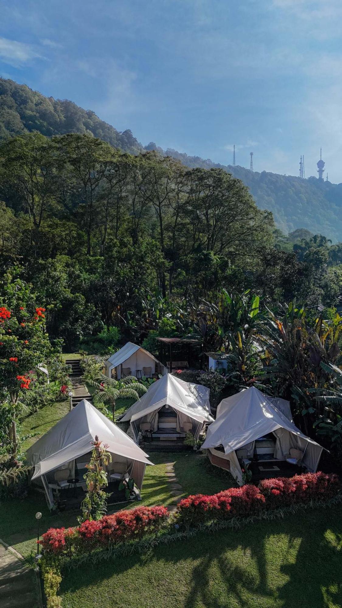 Alamu Eco Lodge 브두굴 외부 사진