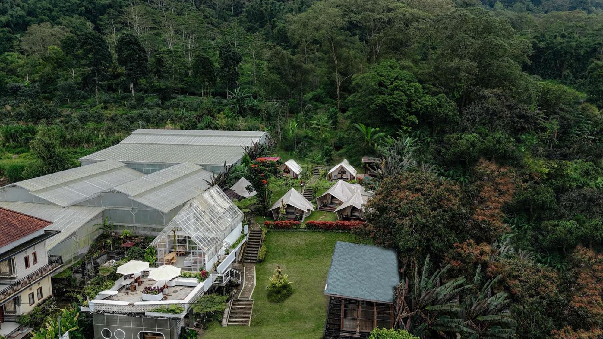 Alamu Eco Lodge 브두굴 외부 사진