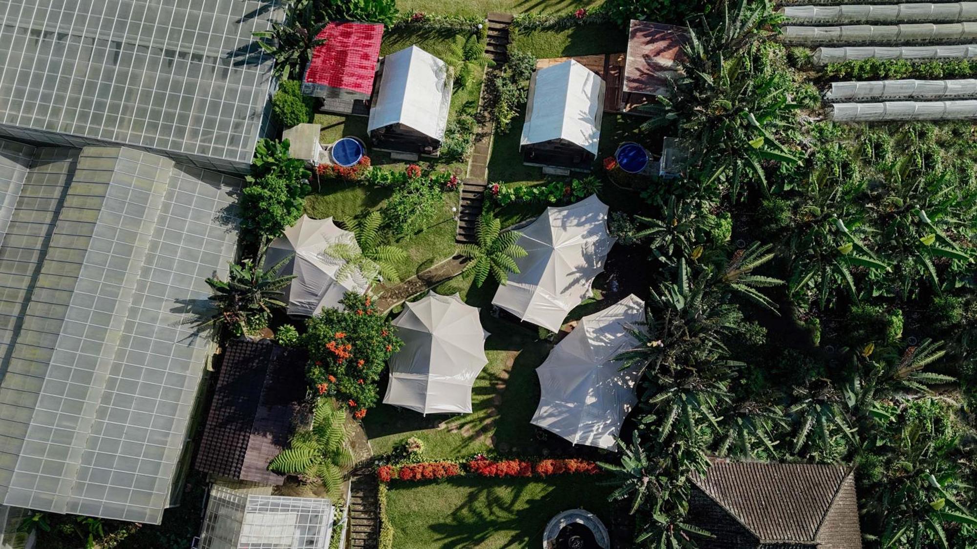Alamu Eco Lodge 브두굴 외부 사진