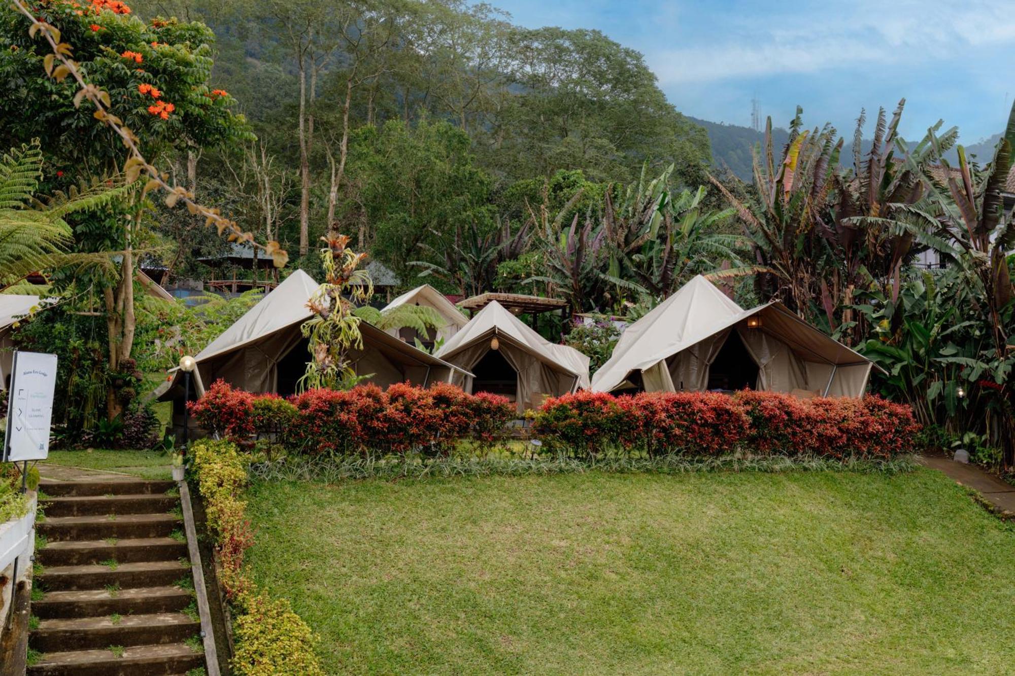 Alamu Eco Lodge 브두굴 외부 사진
