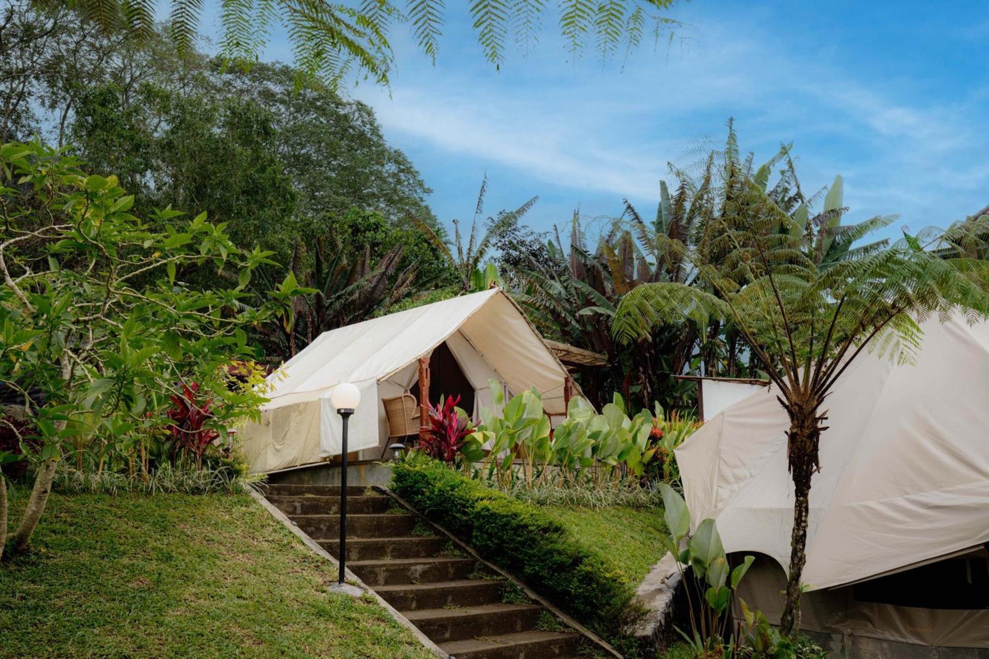 Alamu Eco Lodge 브두굴 외부 사진